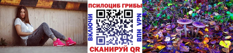 как найти   Серов  Галлюциногенные грибы мухоморы 